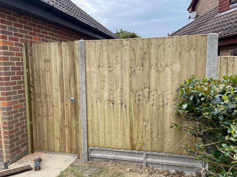 featheredge and gate